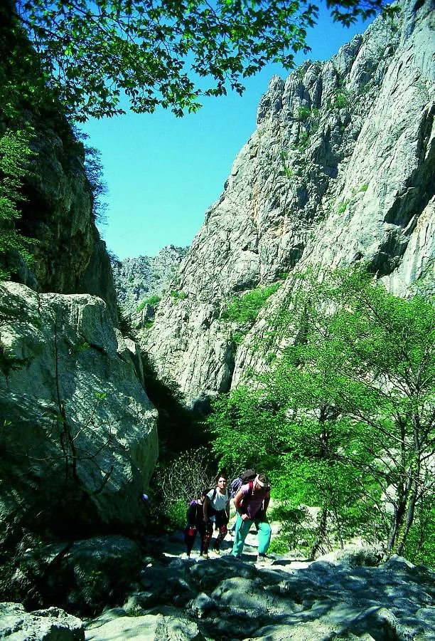 Apartmani Goga Starigrad Paklenica Apartament